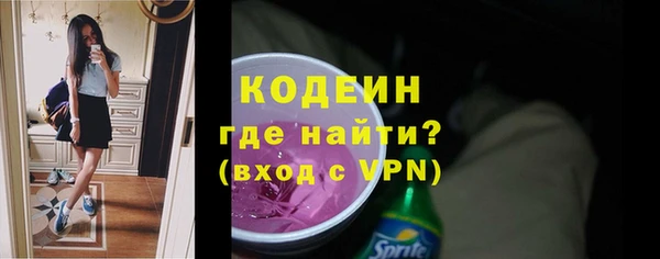 СК Кодинск