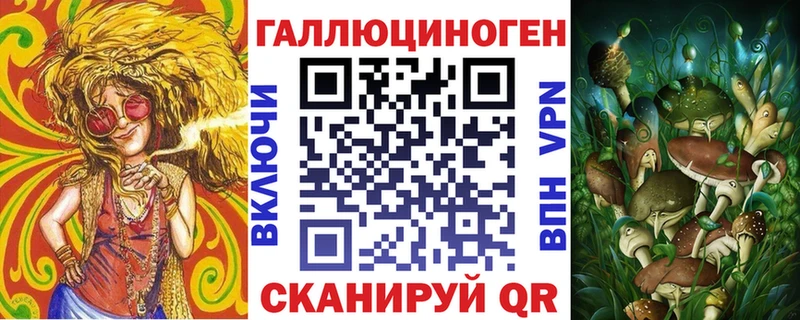 Купить закладки  Злынка  Псилоцибиновые грибы мицелий 