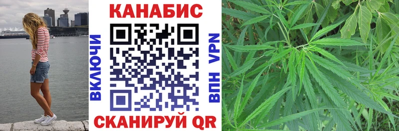 Каннабис Amnesia  Купить  Злынка 
